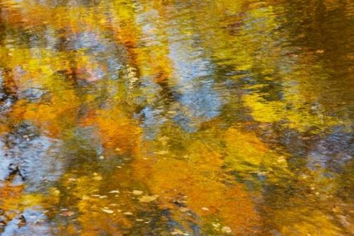 Yellow;Mirror;reflections;river;Blue;Orange;Reflections;Autumn;ripples;Leaf;shapes;Gold;Tan;Tennessee;Abstracts;Reflection;Fall;Abstract;United States;Abstraction;leaves;reflection;Patterns;Great Smoky Mountains National Park;water